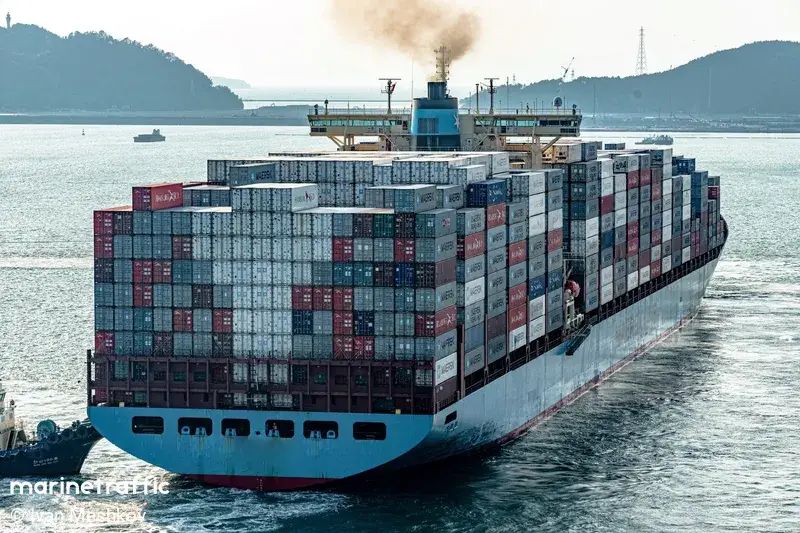 MSC Jasmine X